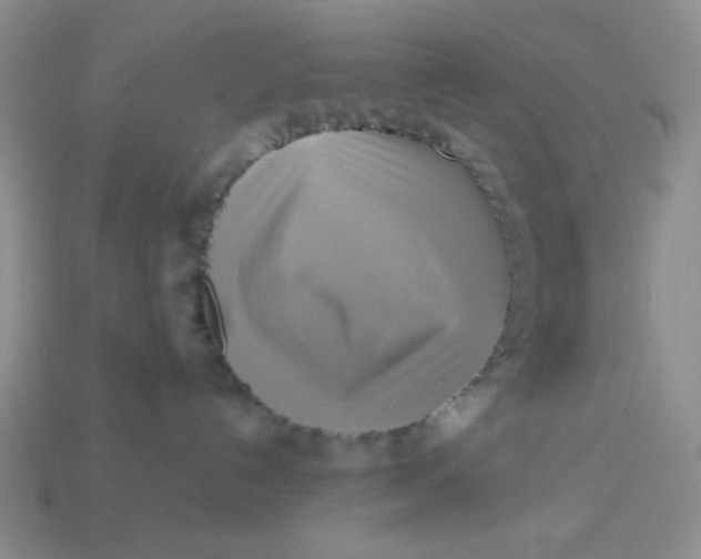 X0000113750192200910141034