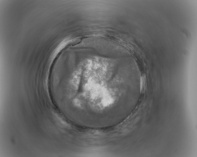 X0000113750195200910141033