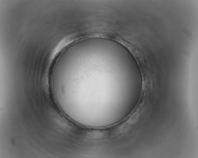 X0000113750198200910141033