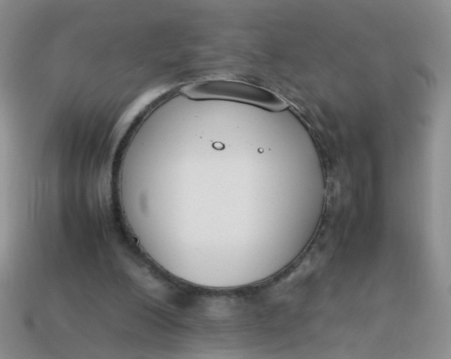 X0000113750200200910141033