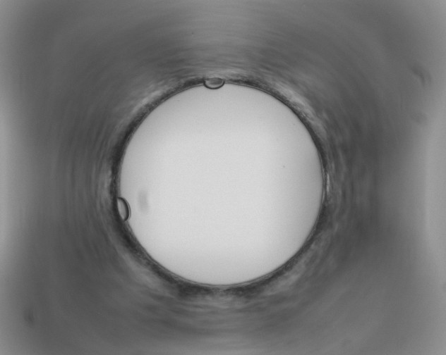 X0000113750201200910141033