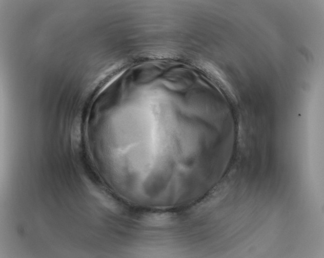 X0000113750202200910141033