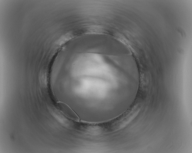 X0000113750203200910141033