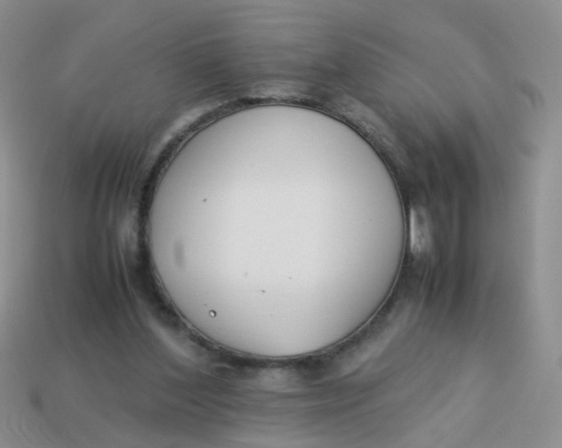 X0000113750204200910141033