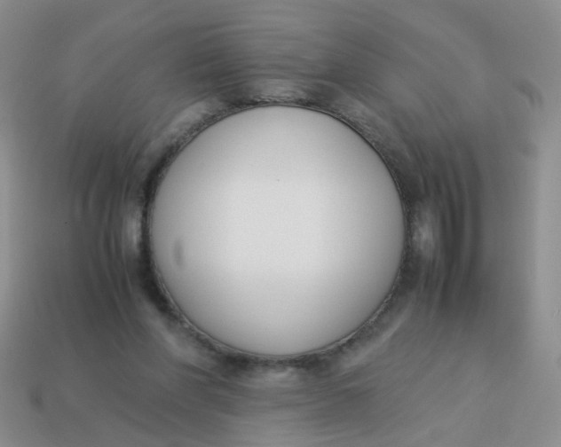 X0000113750206200910141033