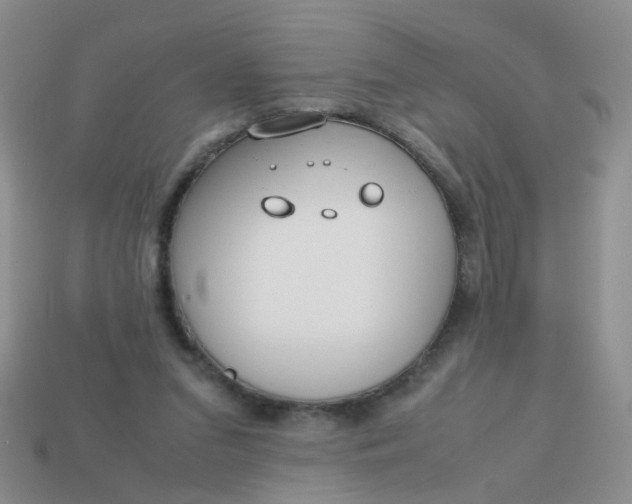 X0000113750207200910141033