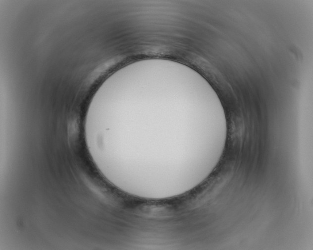 X0000113750208200910141033