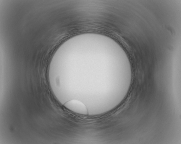 X0000113750209200910141033