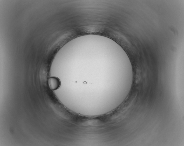 X0000113750210200910141033