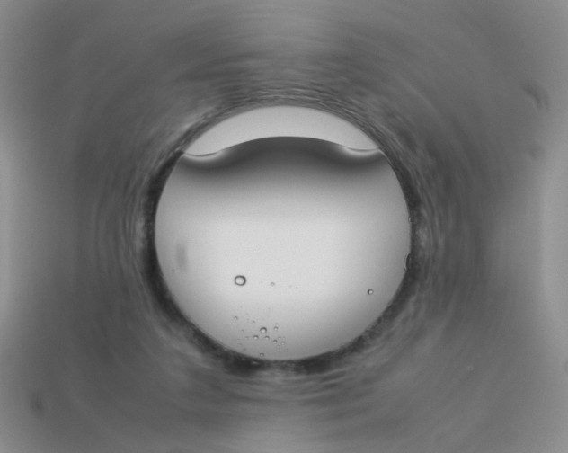 X0000113750211200910141033