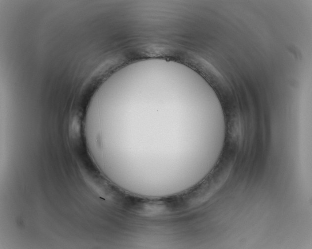 X0000113750214200910141033