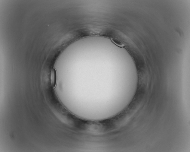 X0000113750215200910141033