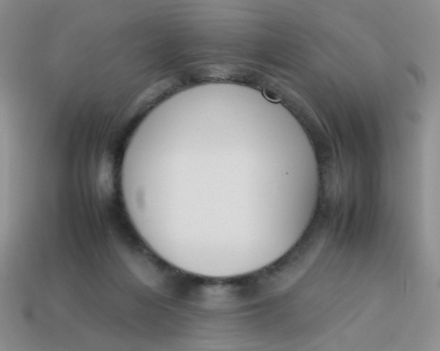 X0000113750216200910141033