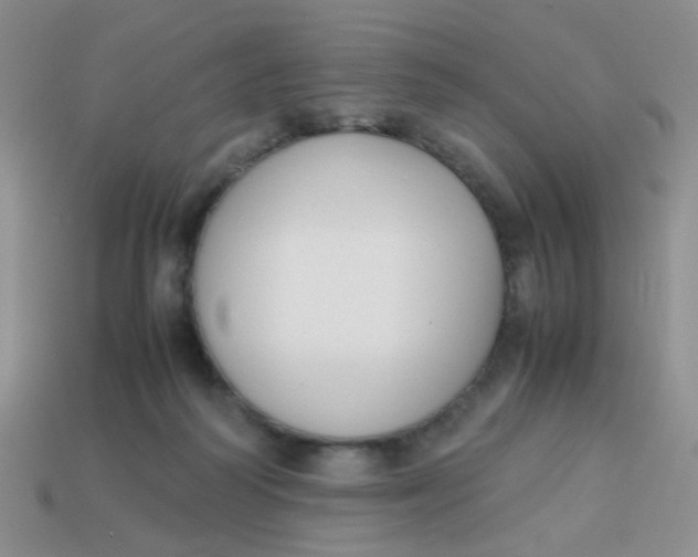 X0000113750218200910141033