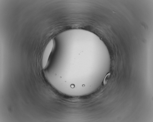 X0000113750219200910141033