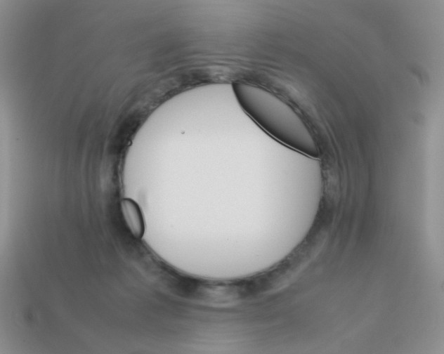 X0000113750221200910141033