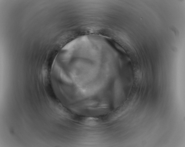 X0000113750222200910141033