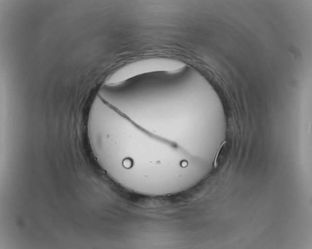 X0000113750223200910141033