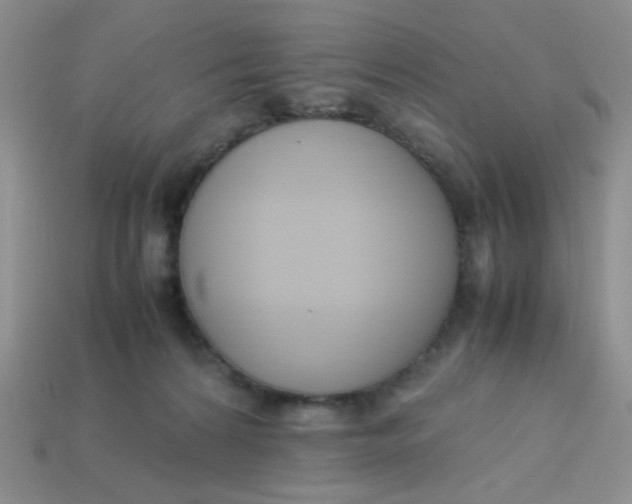 X0000113750224200910141033