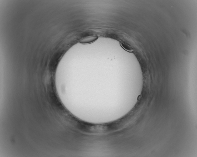 X0000113750225200910141033