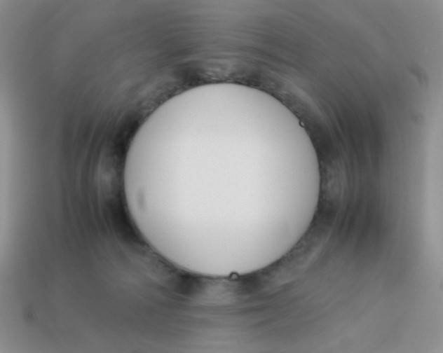 X0000113750226200910141033