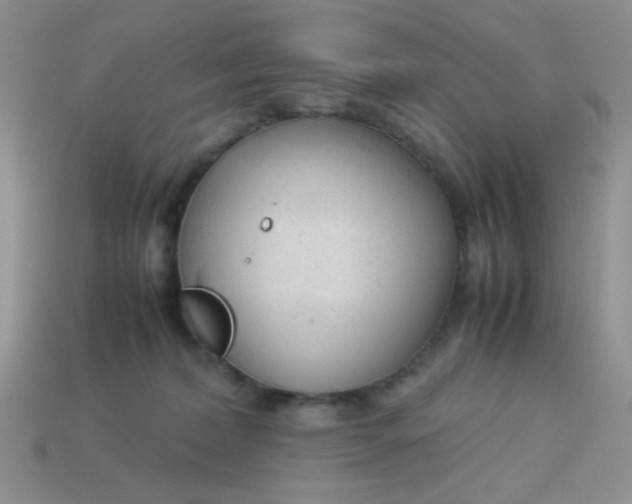 X0000113750228200910141033