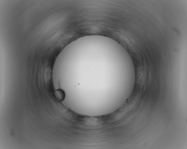 X0000113750230200910141033