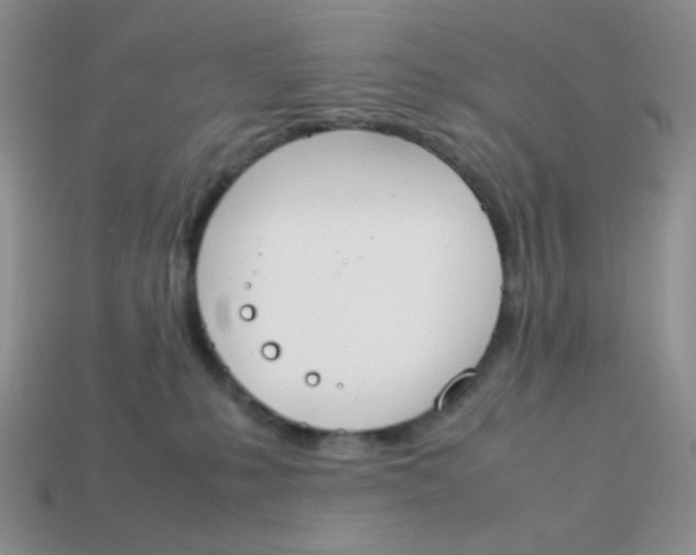 X0000113750231200910141033