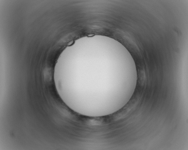 X0000113750232200910141033