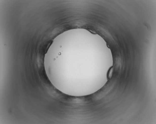 X0000113750236200910141033