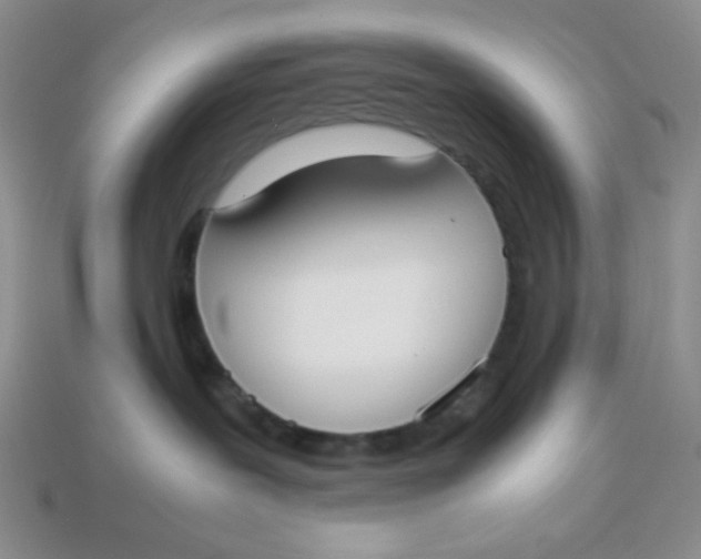 X0000113750239200910141033