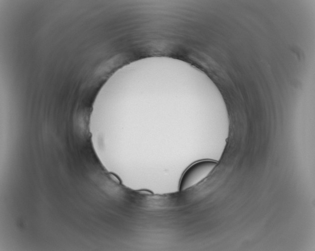 X0000113750240200910141033