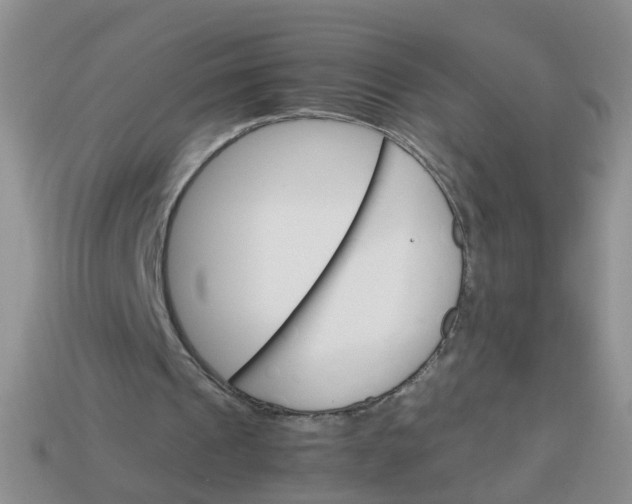 X0000113750241200910141032