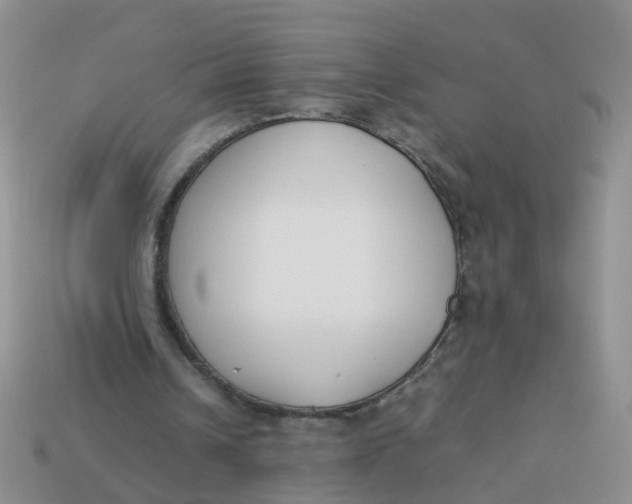 X0000113750242200910141032