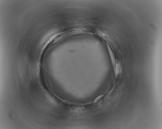 X0000113750243200910141032