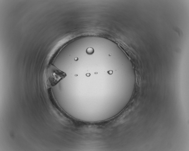 X0000113750244200910141032