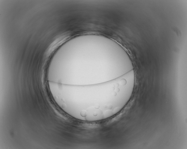 X0000113750245200910141032