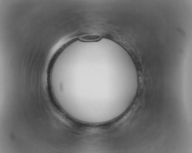 X0000113750246200910141032