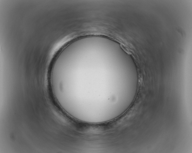 X0000113750248200910141032