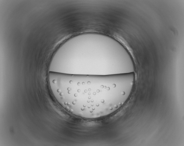 X0000113750249200910141032