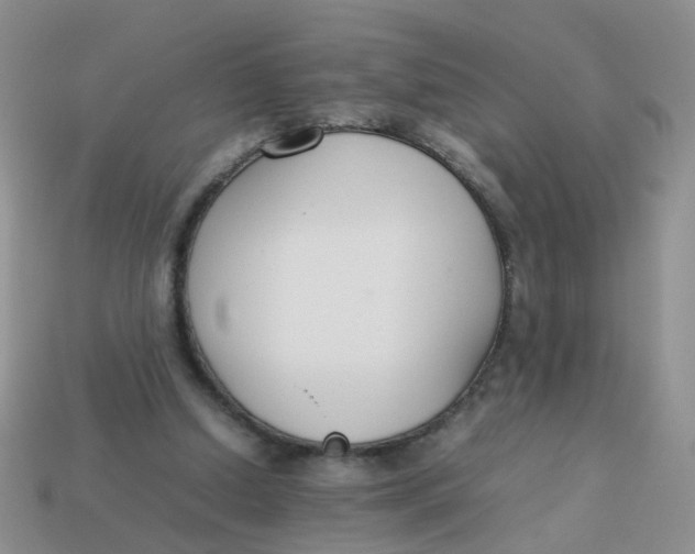 X0000113750250200910141032