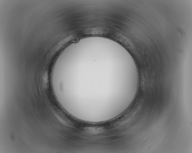 X0000113750251200910141032