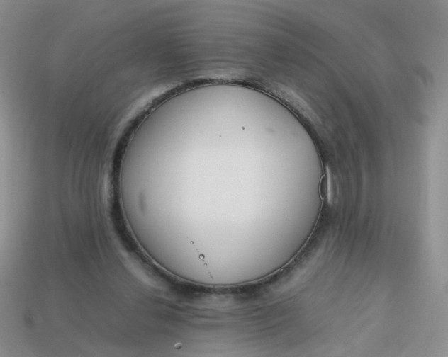 X0000113750252200910141032