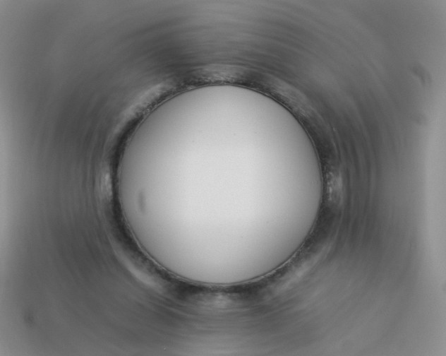 X0000113750254200910141032