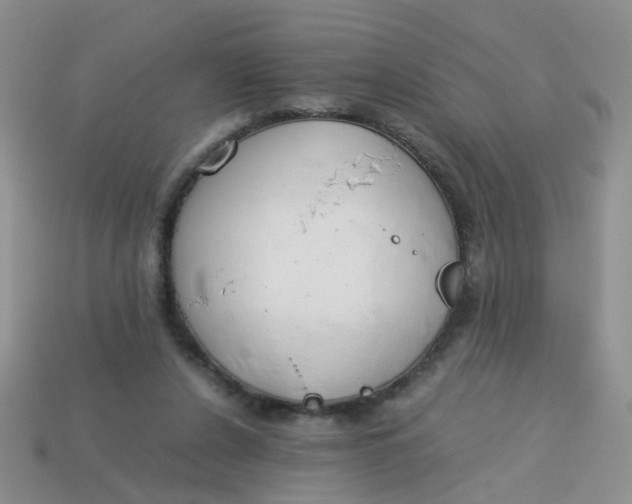 X0000113750256200910141032