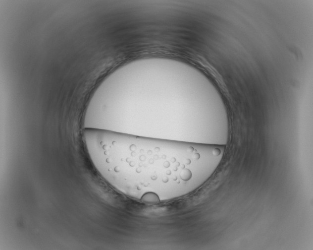 X0000113750257200910141032