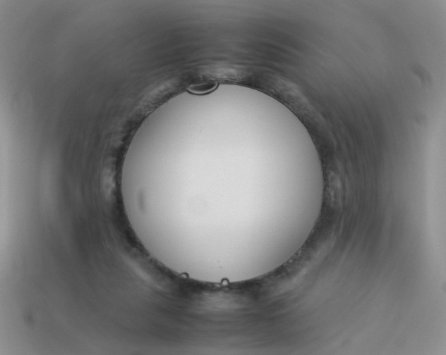 X0000113750259200910141032