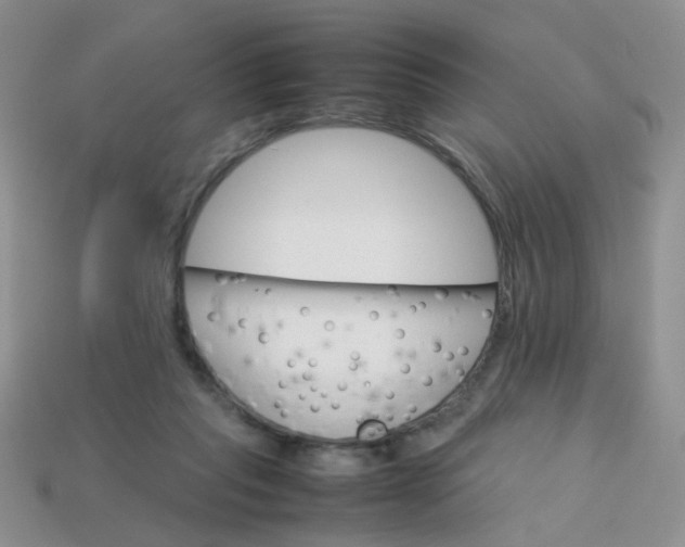 X0000113750261200910141032