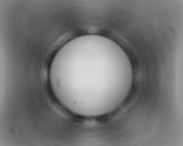 X0000113750262200910141032