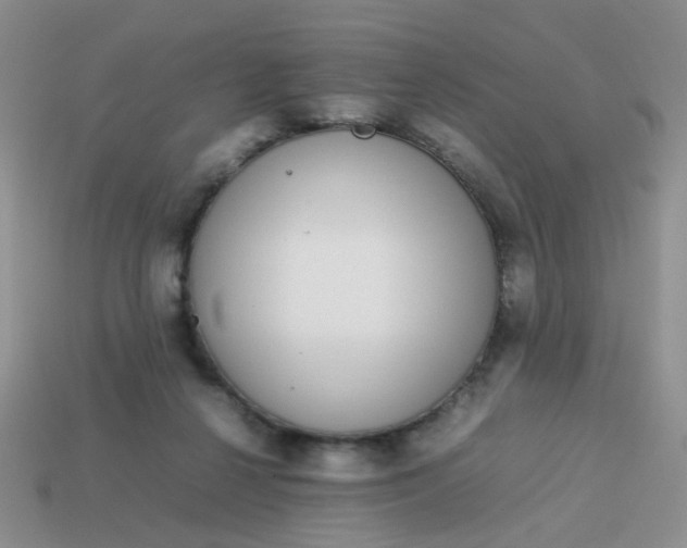 X0000113750264200910141032